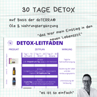 Detox-Leitfaden